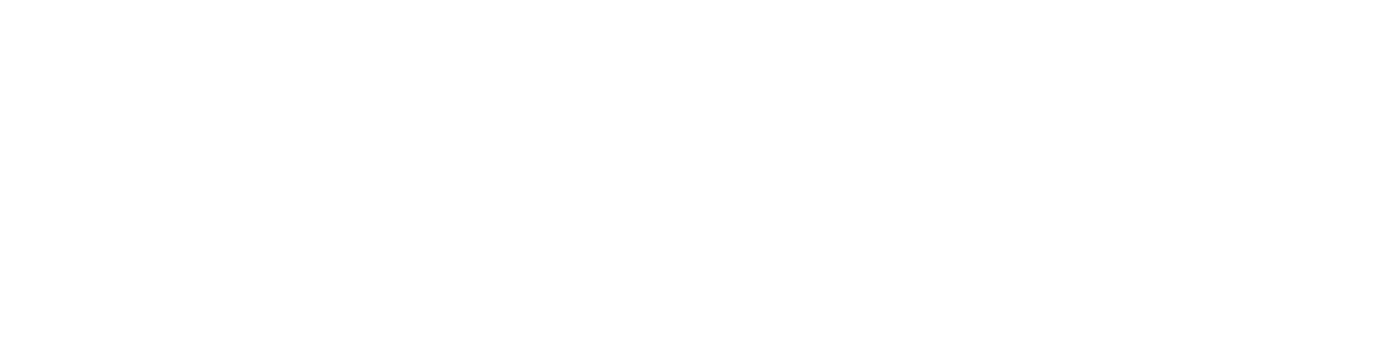 SMEI South Africa logo